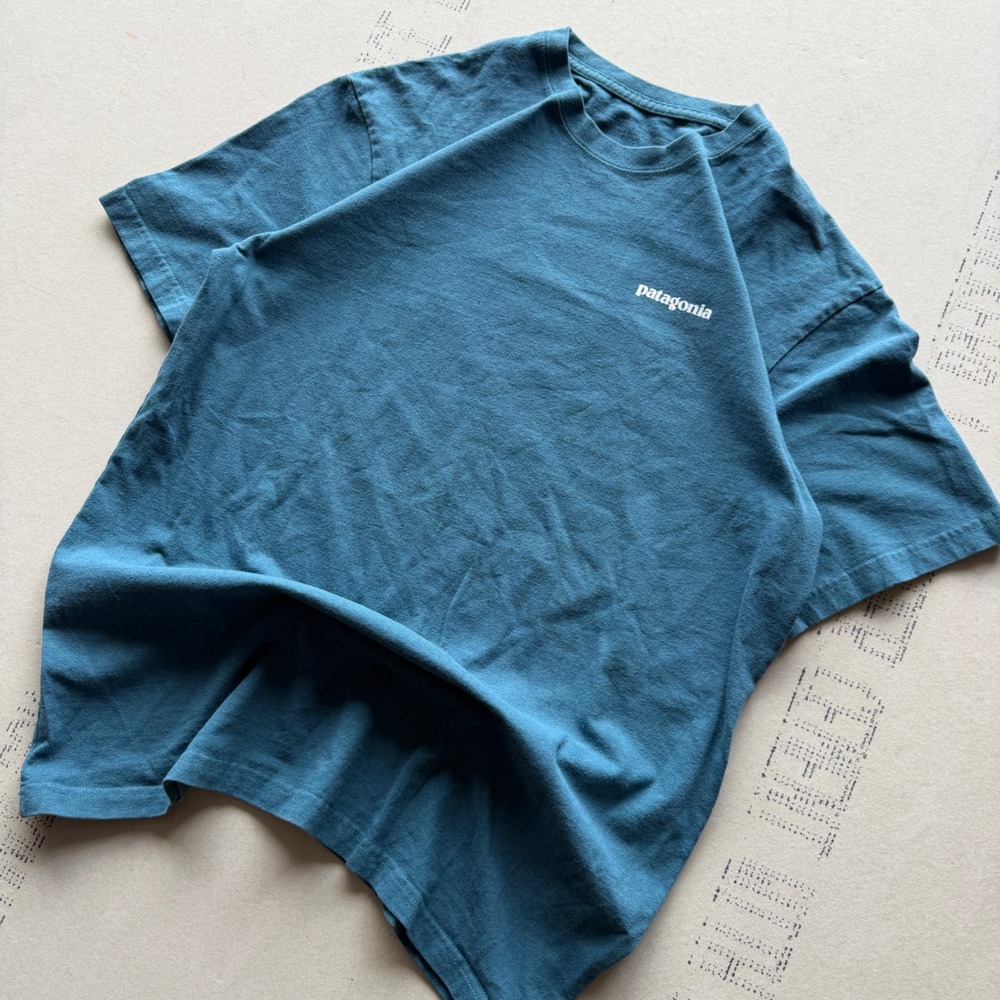 Y2K Patagonia T-shirt